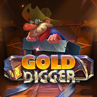 Gold Digger in sub_newbyisoftbet