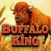 Buffalo King in sub_newbypragmatic