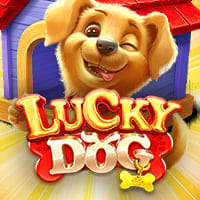Lucky Dog in New Games